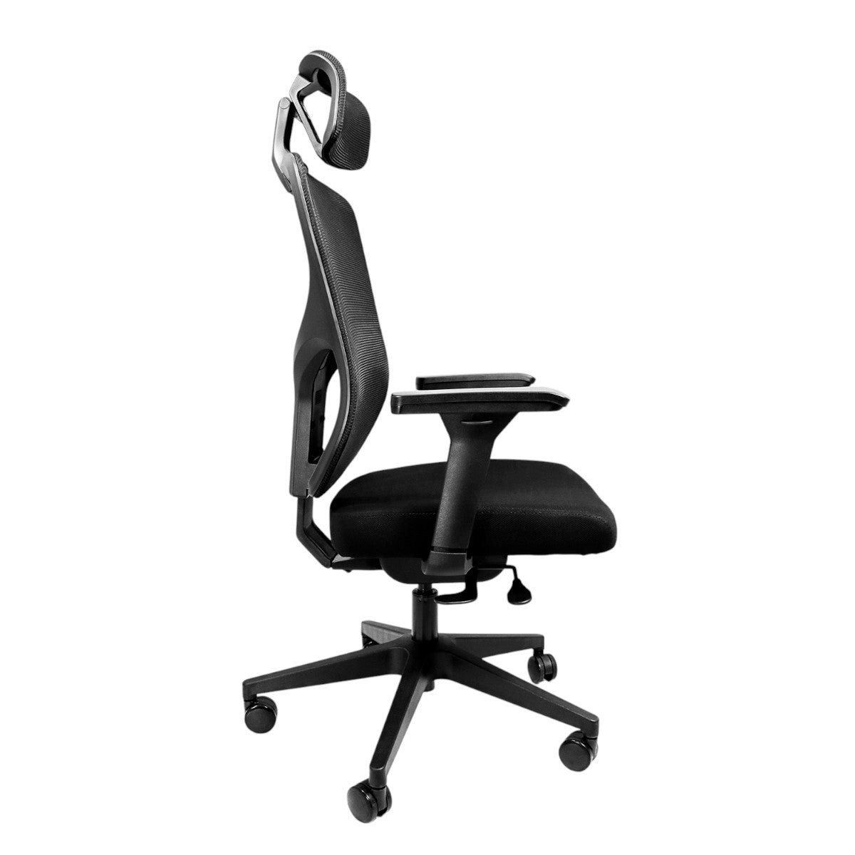 Silla Directiva Cetara
