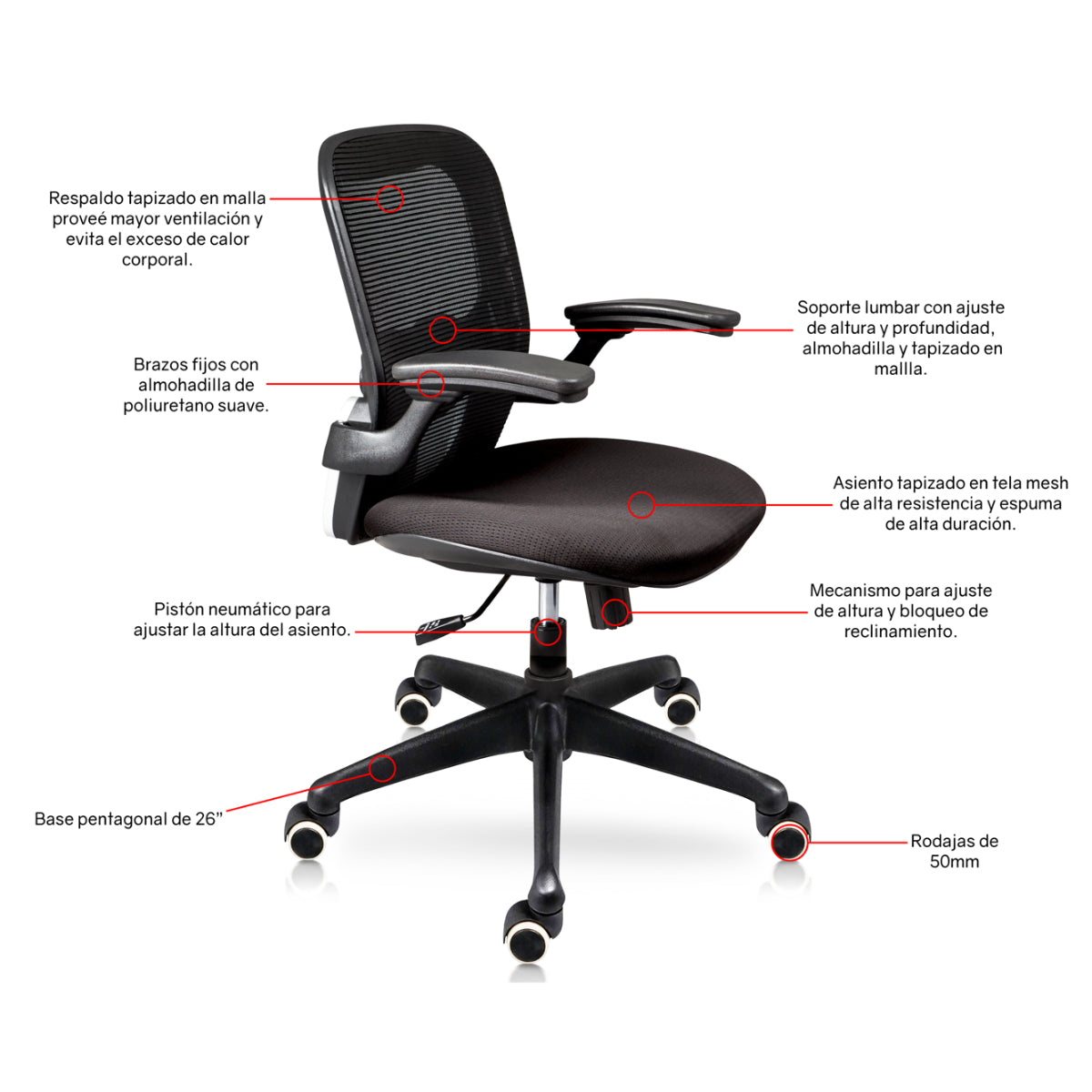 Silla Directiva Bari E