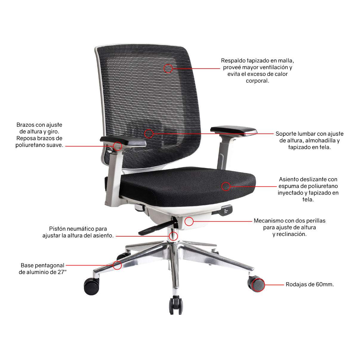 Silla Directiva Roma