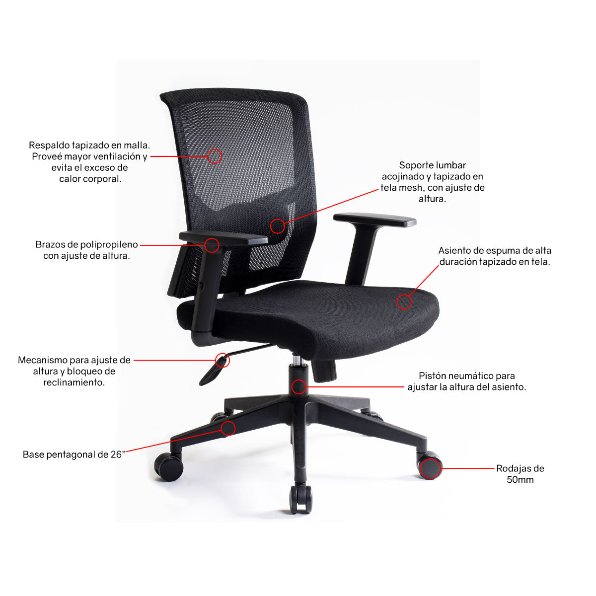 Silla Ejecutiva Caselli