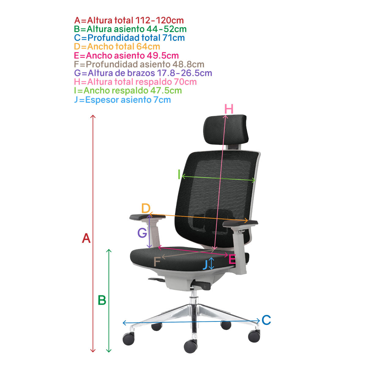Silla Ergonomica Directiva Roma C