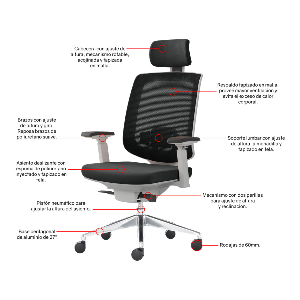 Silla Ergonomica Directiva Roma C