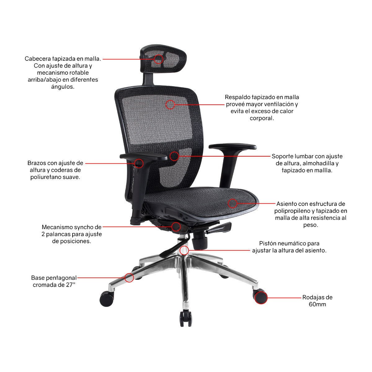 Silla de oficina Directiva Amalfi C