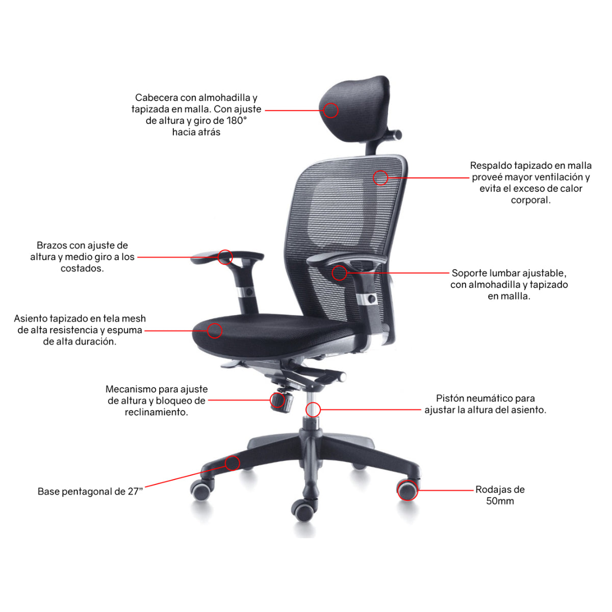 Silla de oficina Directiva Bari C