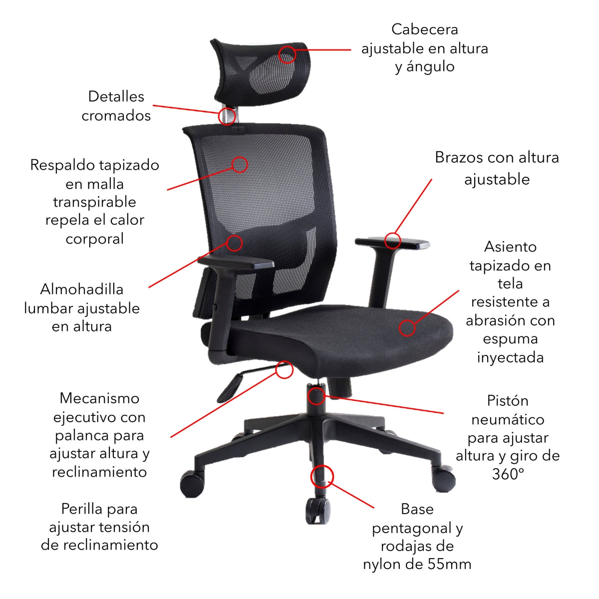 Silla de oficina Ejecutiva Caselli C