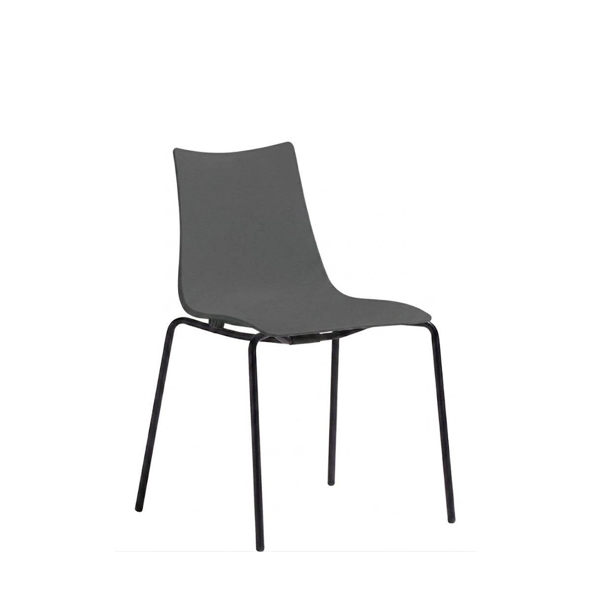 Silla Zebra Base Negro