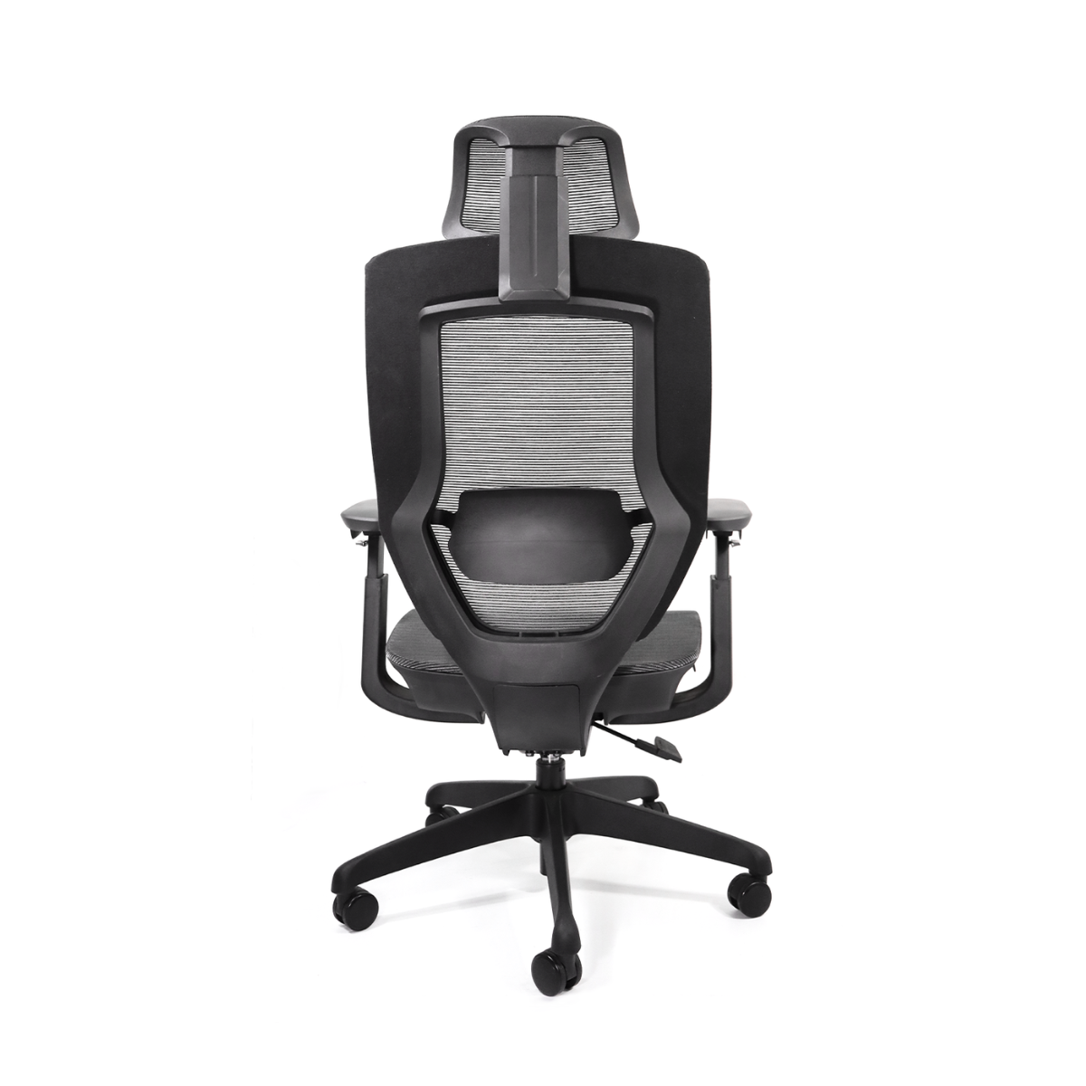Silla Directiva Ucrania C